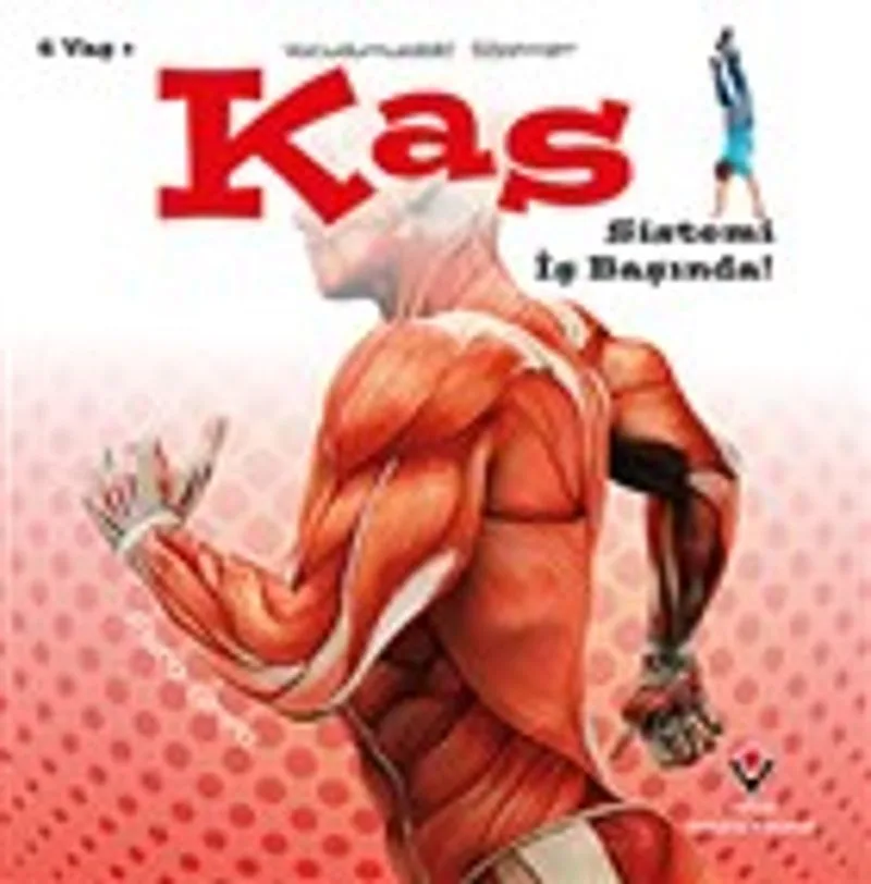 Kas Sistemi İş Başında! - Vücudumuzdaki Sistemler