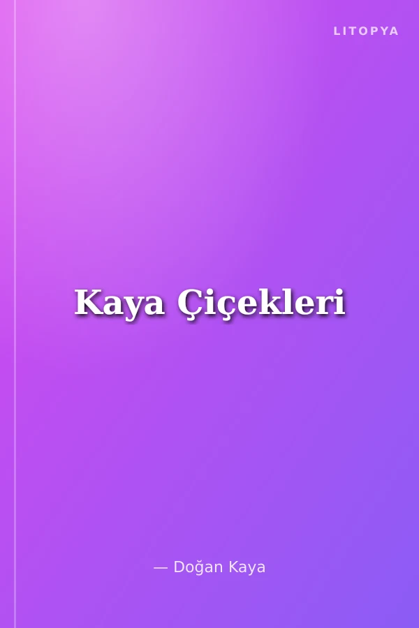 Kaya Çiçekleri