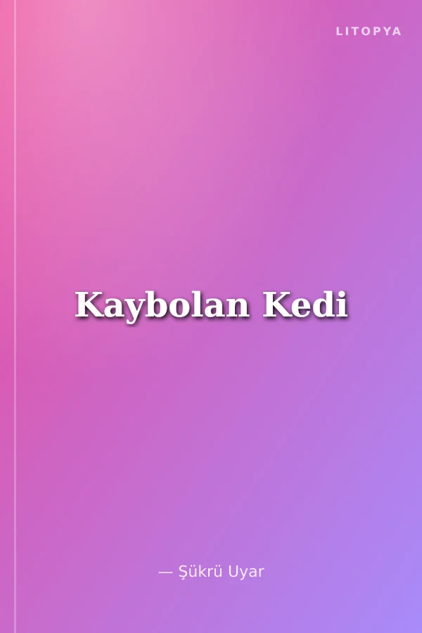 Kaybolan Kedi