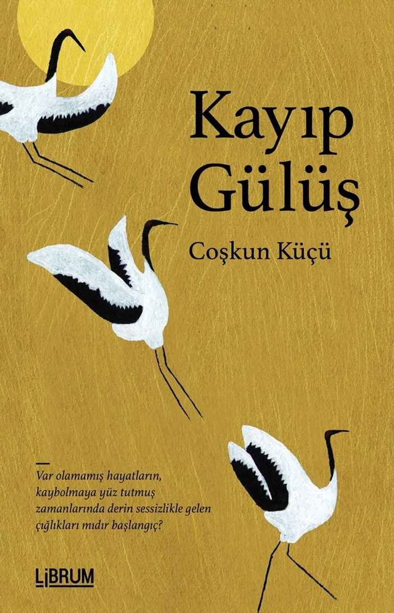 Kayıp Gülüş
