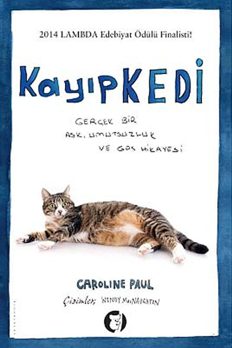 Kayıp Kedi