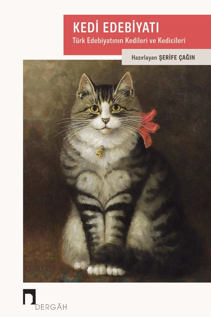 Kedi Edebiyatı Türk Edebiyatının Kedileri ve Kedicileri