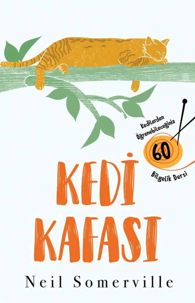 Kedi Kafası Kedilerden Öğrenebileceğiniz 60 Bilgelik Dersi