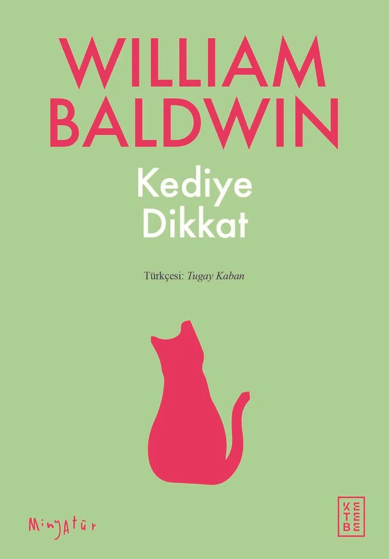 Kediye Dikkat