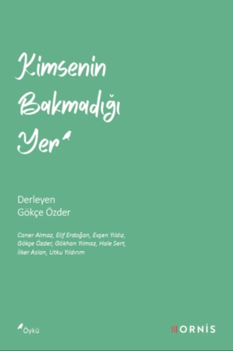 Kimsenin Bakmadığı Yer