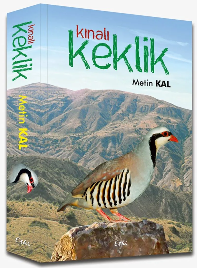 Kınalı Keklik