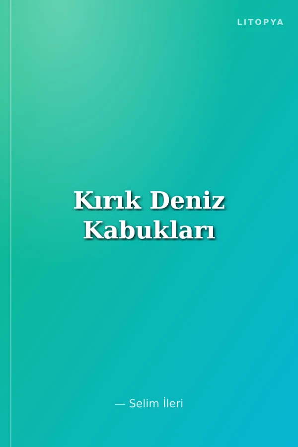 Kırık Deniz Kabukları