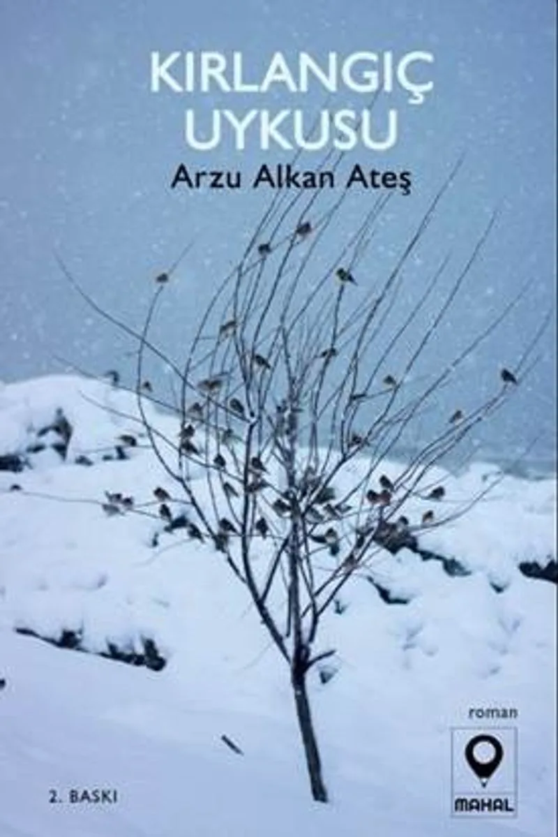 Kırlangıç Uykusu