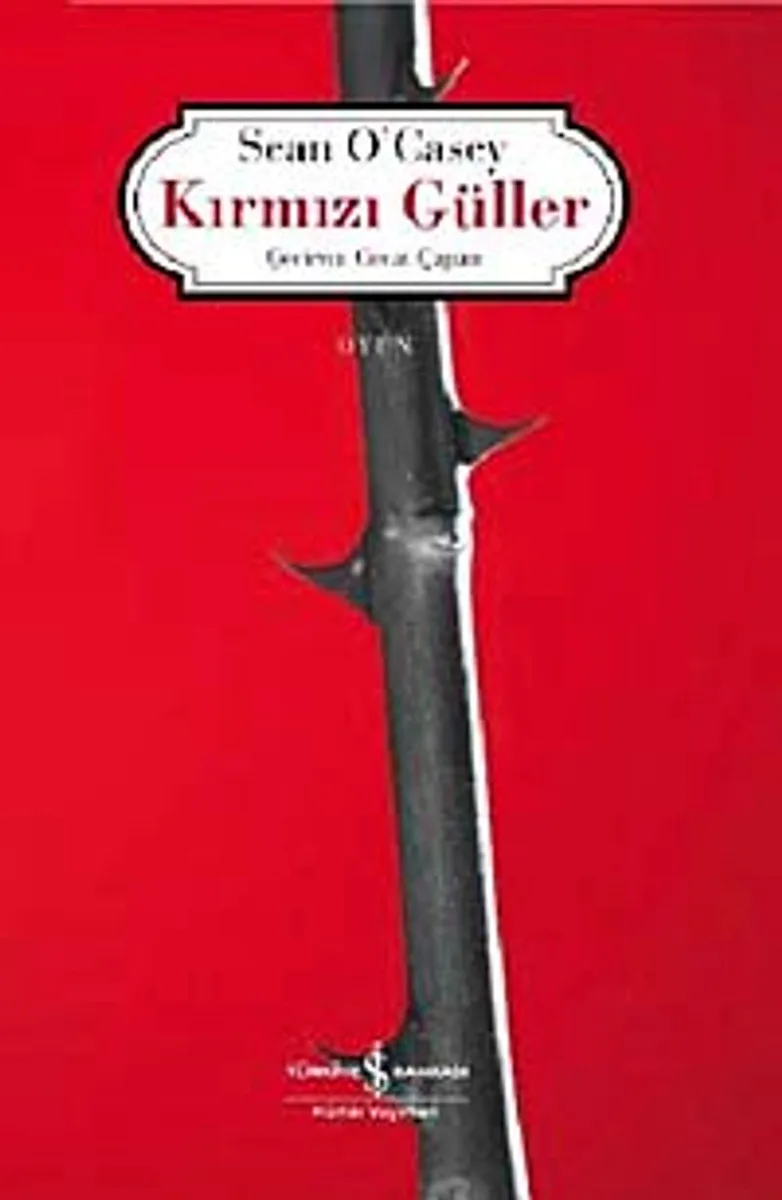 Kırmızı Güller