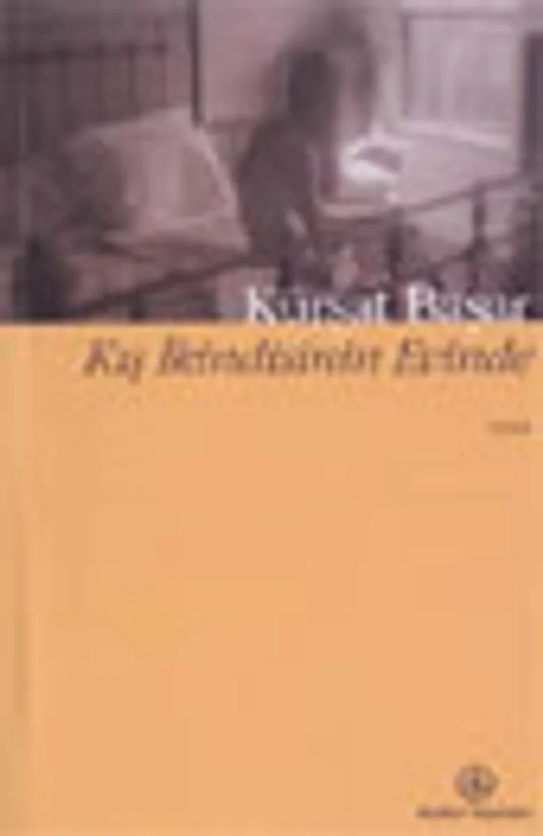 Kış İkindisinin Evinde