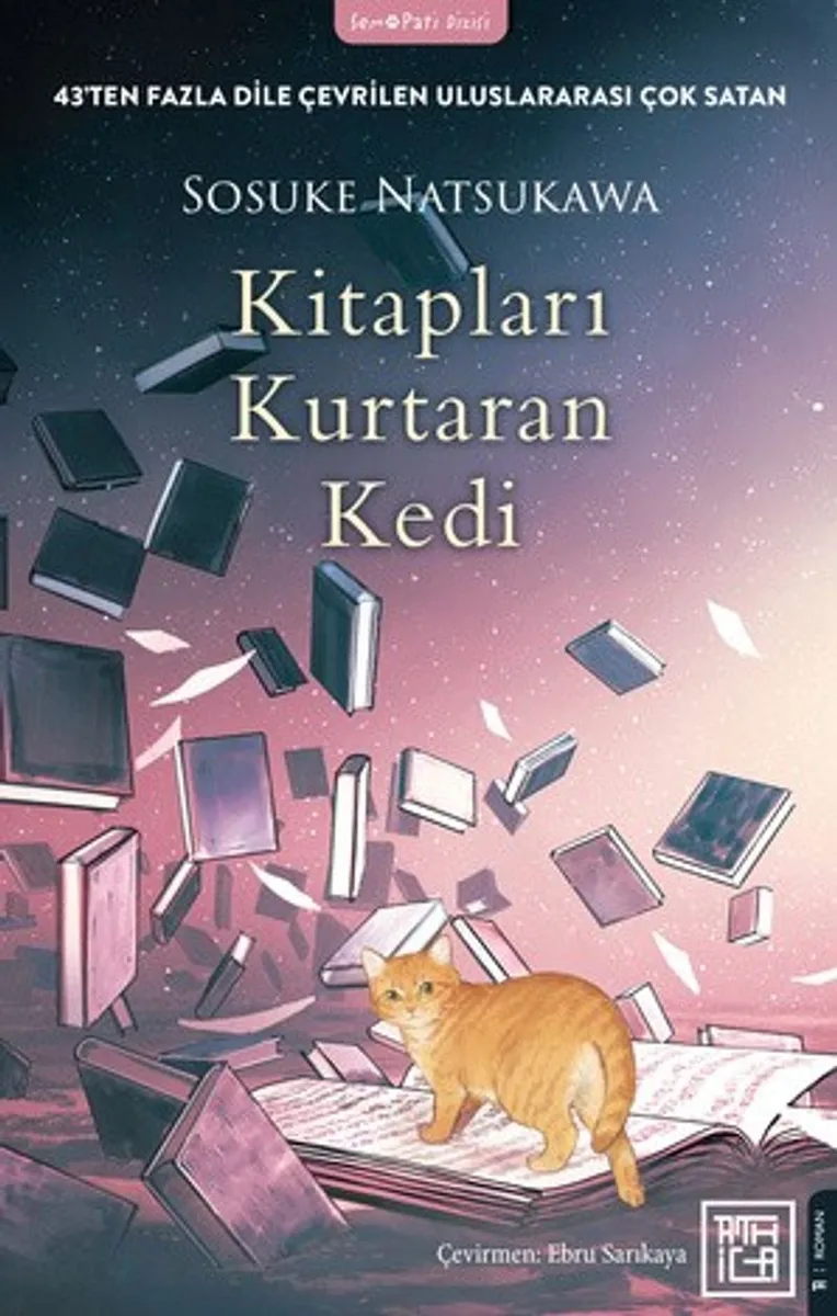Kitapları Kurtaran Kedi