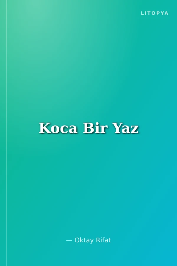 Koca Bir Yaz