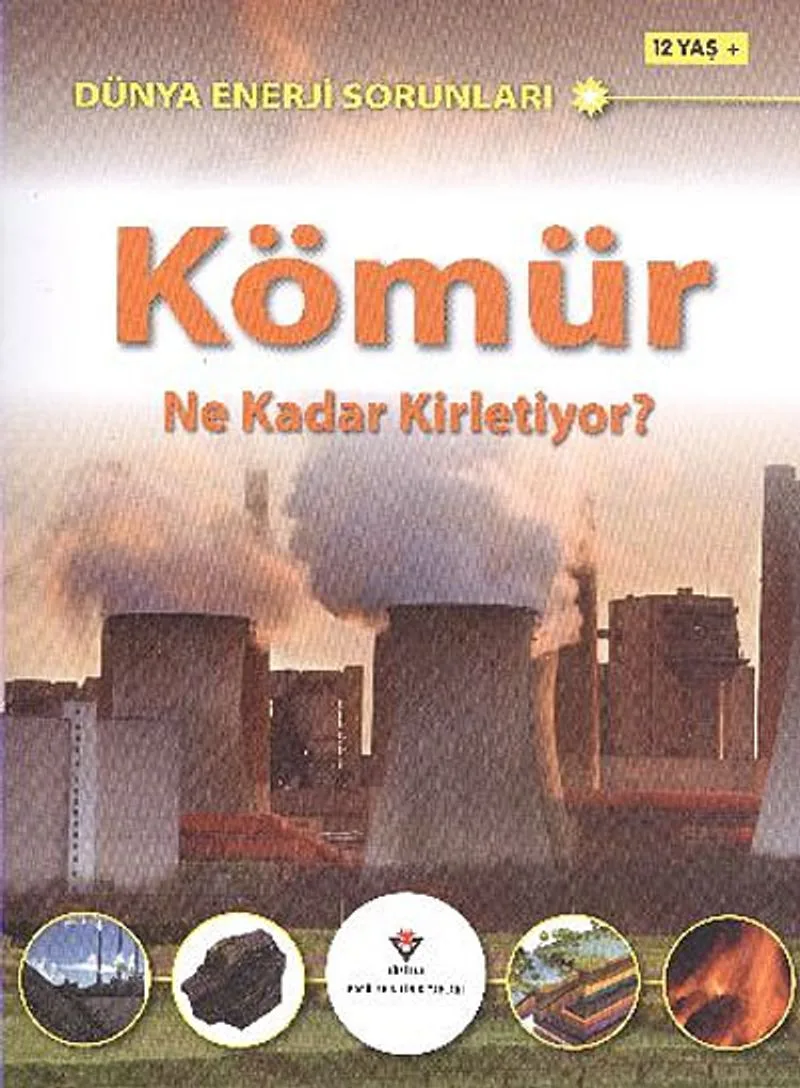 Kömür Ne Kadar Kirletiyor? Dünya Enerji Sorunları