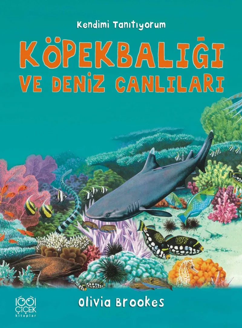 Köpekbalığı ve Deniz Canlılarına Soralım