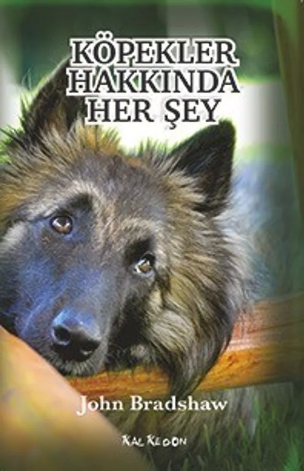 Köpekler Hakkında Her Şey