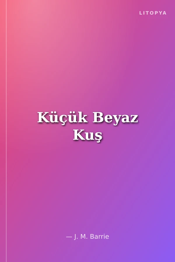 Küçük Beyaz Kuş