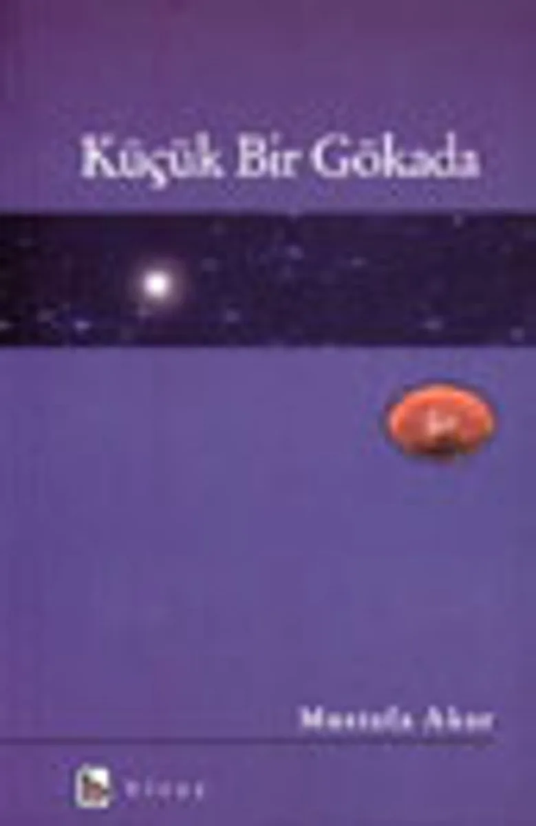 Küçük Bir Gökada