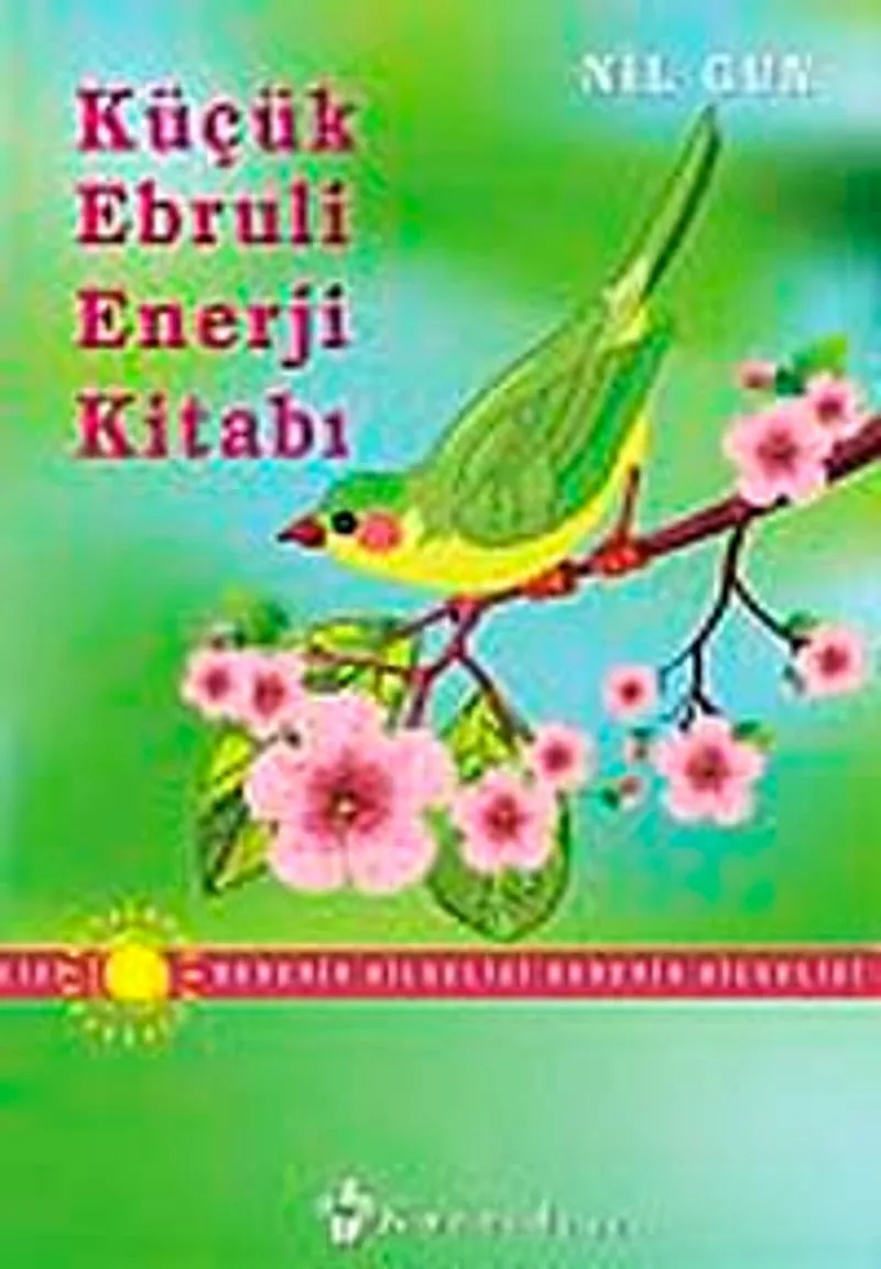 Küçük Ebruli Enerji Kitabı