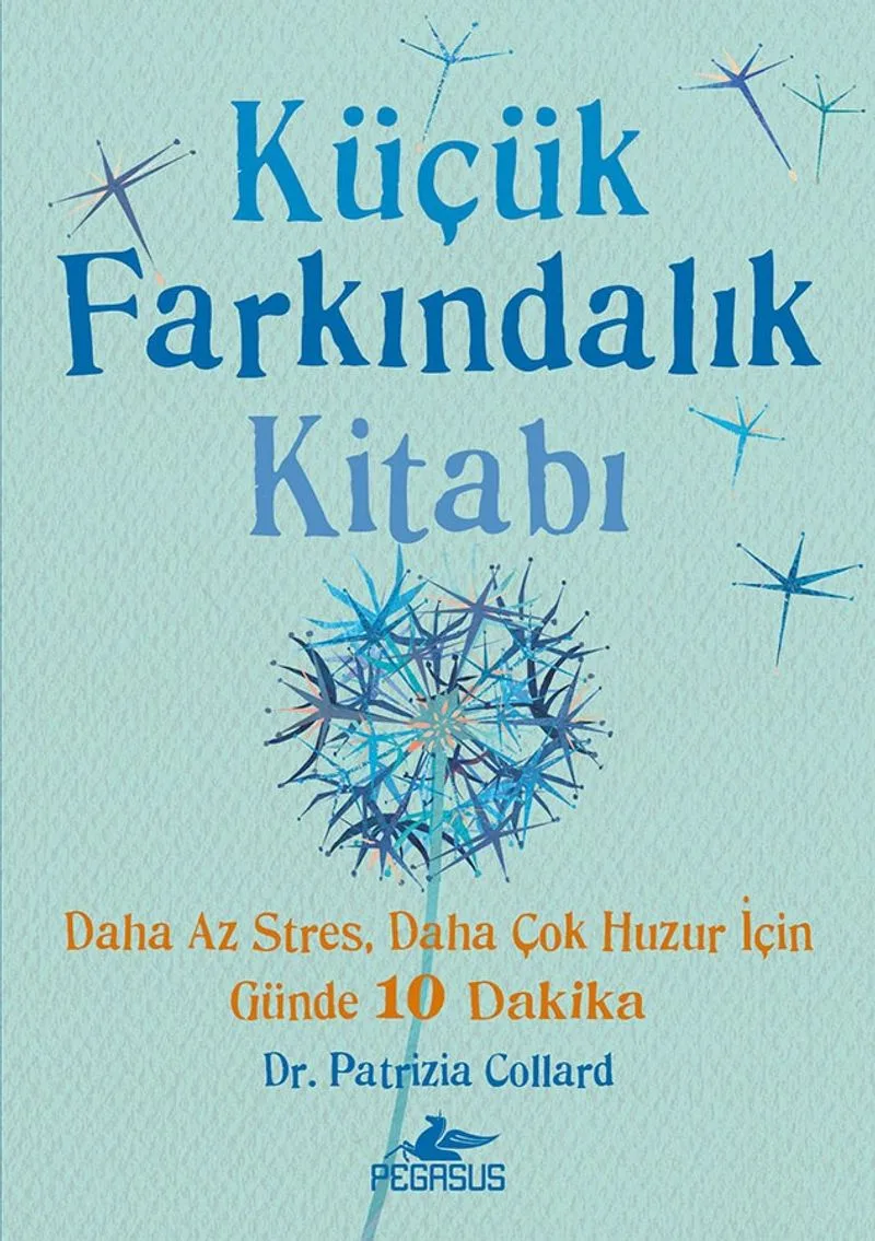 Küçük Farkındalık Kitabı (Fleksi Kapak)