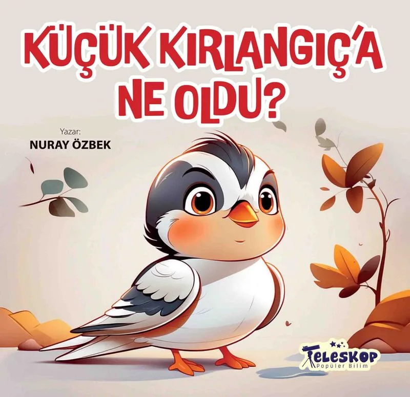 Küçük Kırlangıç'a Ne Oldu?