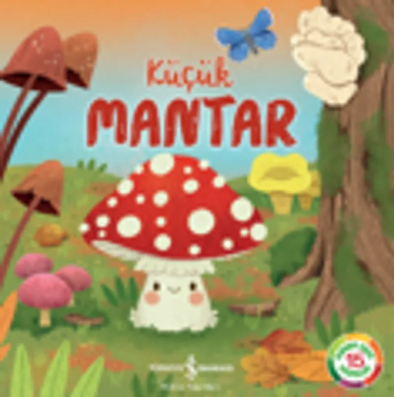 Küçük Mantar