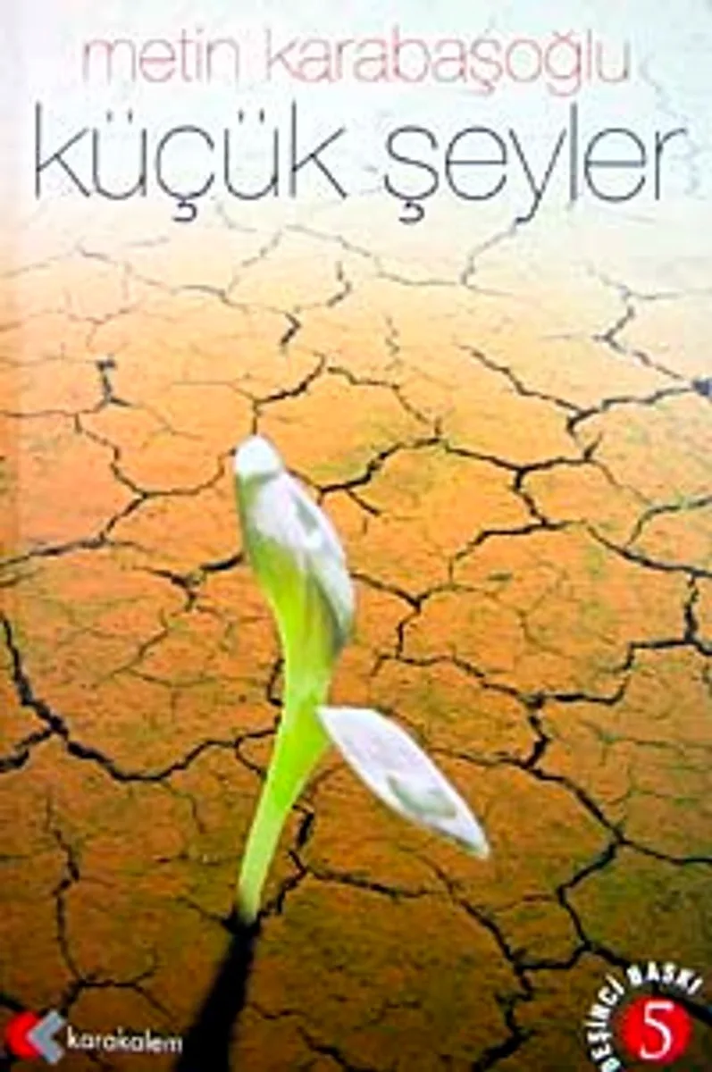 Küçük Şeyler