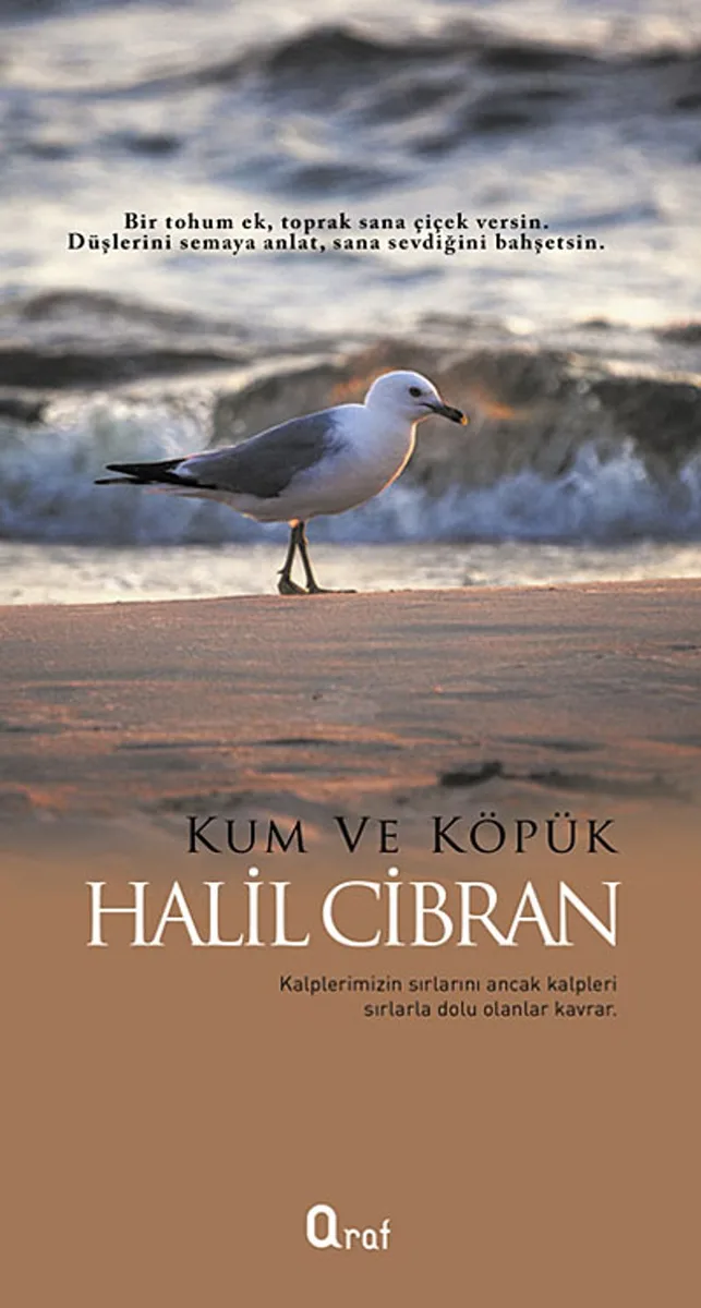 Kum ve Köpük