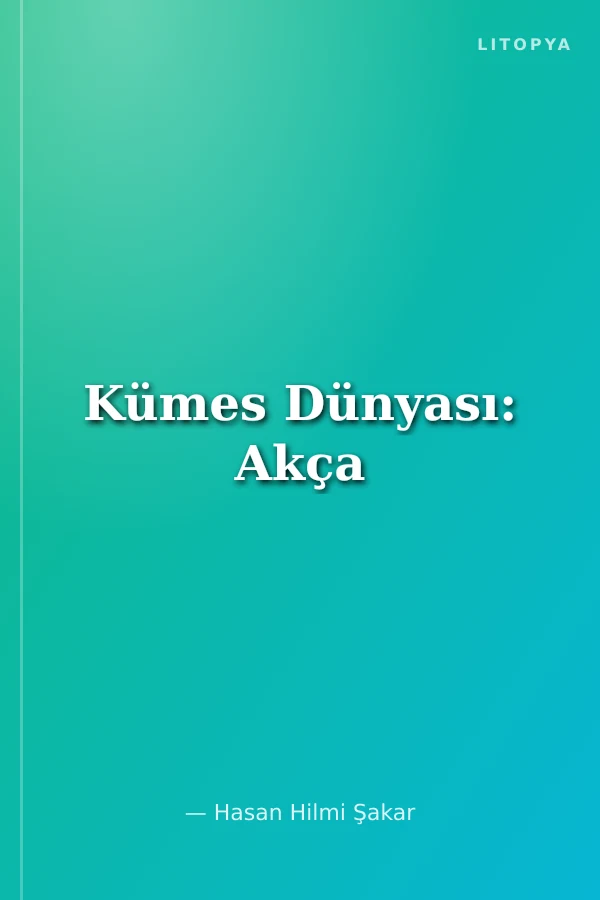 Kümes Dünyası: Akça