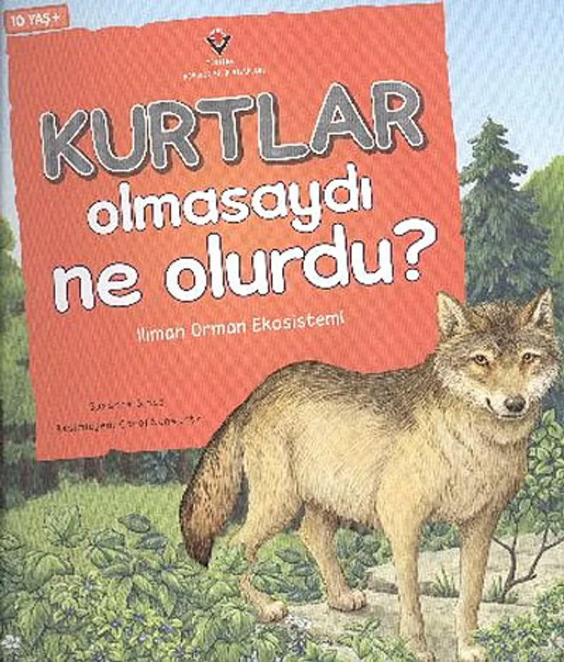 Kurtlar Olmasaydı Ne Olurdu? Ilıman Orman Ekosistemi