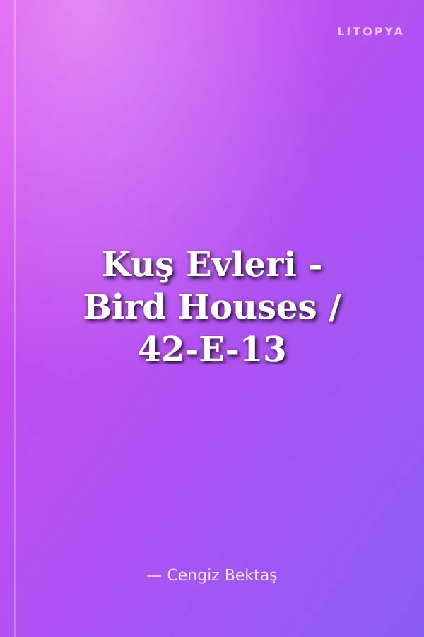 Kuş Evleri - Bird Houses / 42-E-13