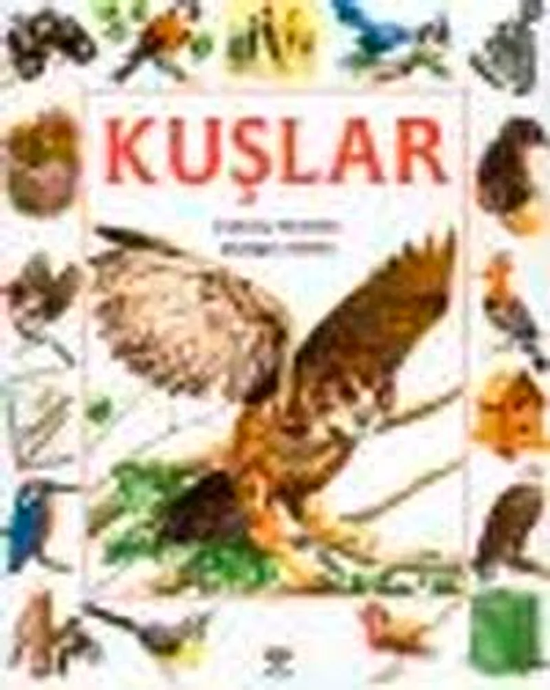 Kuşlar