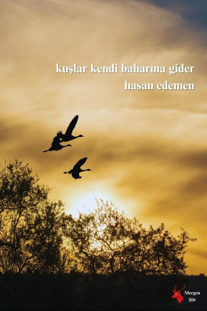 Kuşlar Kendi Baharına Gider
