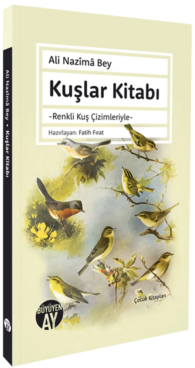 Kuşlar Kitabı Renkli Kuş Çimleriyle