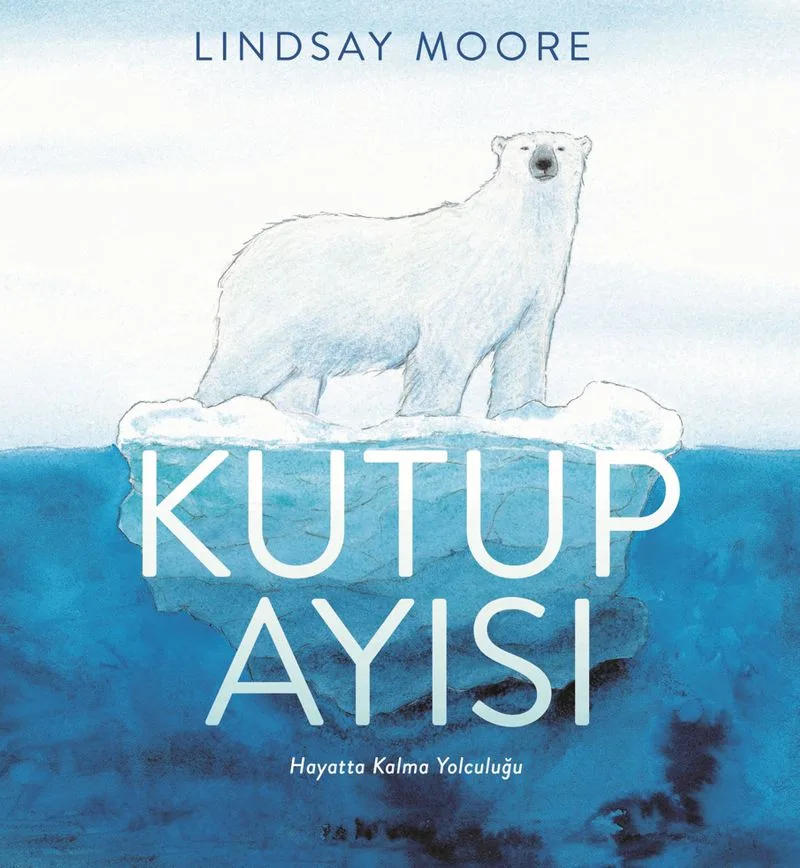 Kutup Ayısı