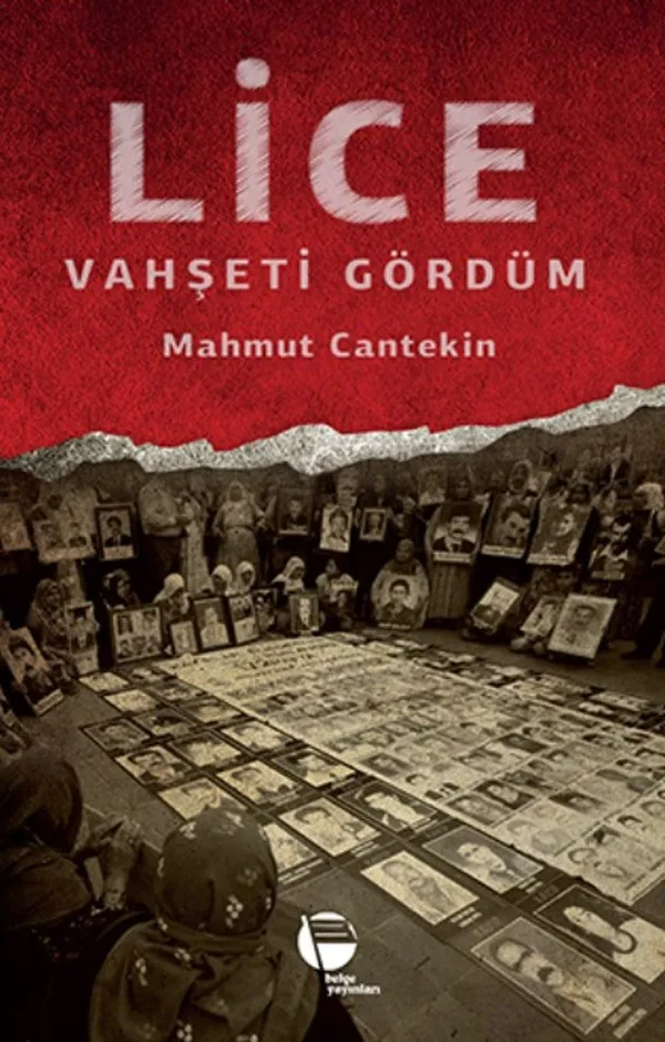 Lice Vahşeti Gördüm
