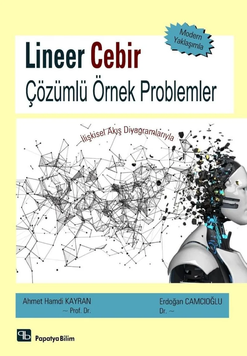 Lineer Cebir Çözümlü Örnek Problemler İlişkisel Akış Diyagramlarıyla
