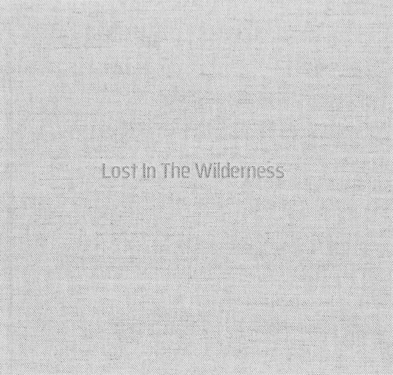 Lost In The Wilderness