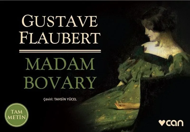 Madam Bovary (Minikitap)
