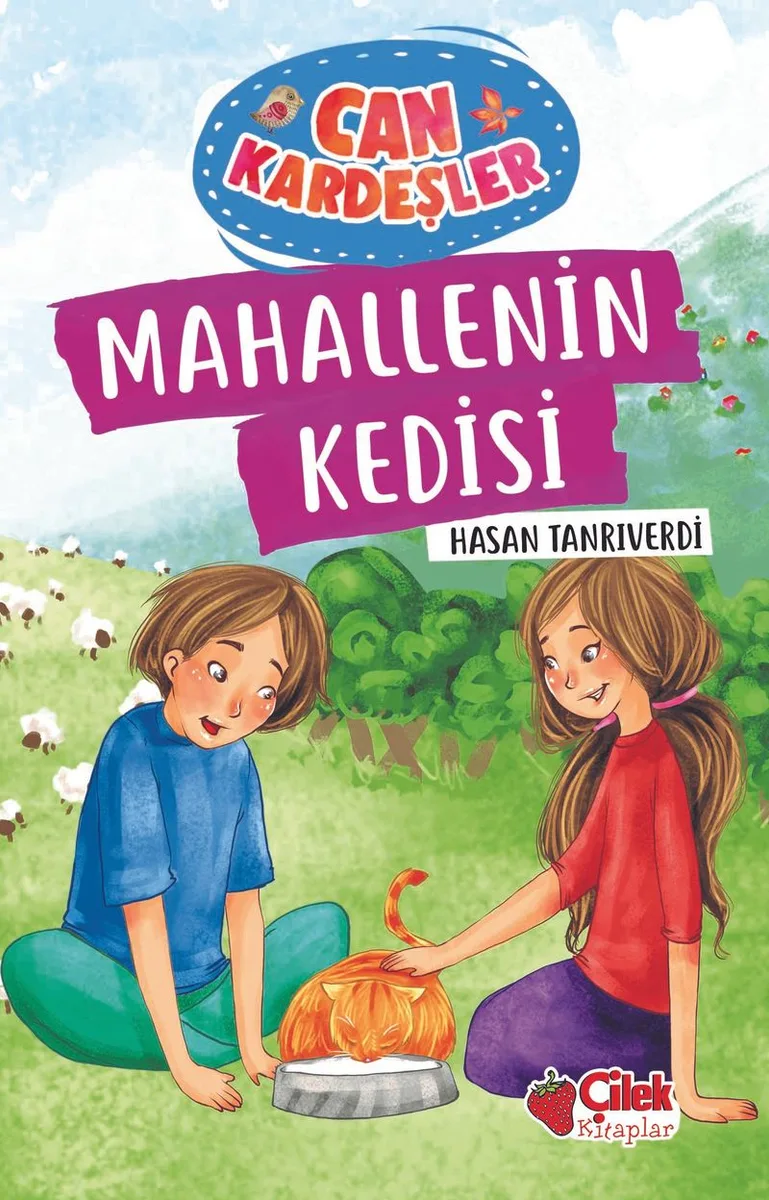 Mahallenin Kedisi / Can Kardeşler 2