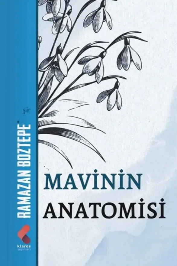 Mavinin Anotomisi
