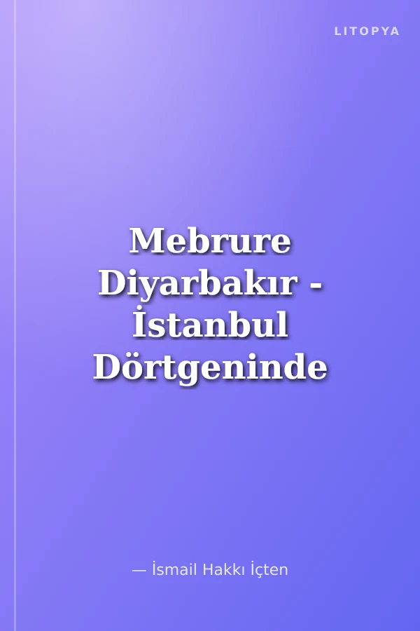 Mebrure Diyarbakır - İstanbul Dörtgeninde Dram Dolu Bir Yaşam