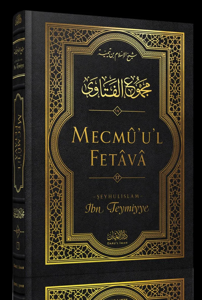 Mecmûu'l-Fetava (17. Cilt)