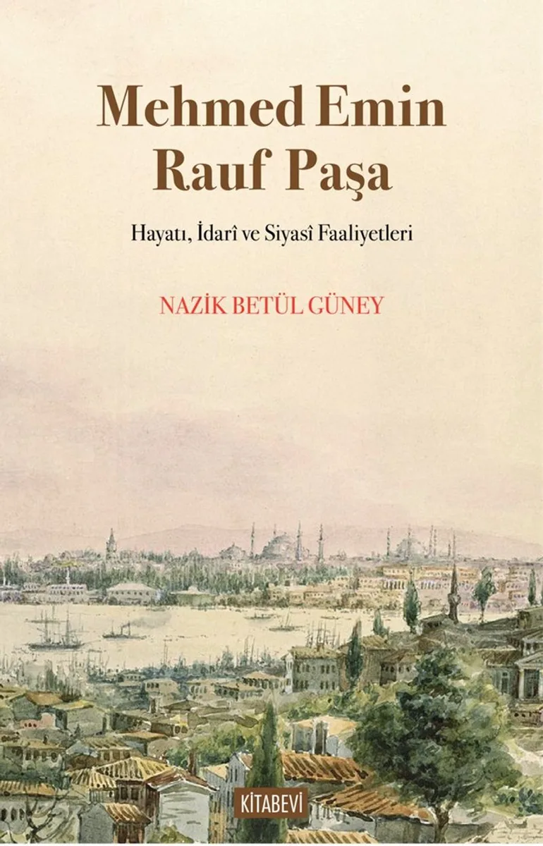 Mehmed Emin Rauf Paşa Hayatı, İdar&icirc; ve Siyas&icirc; Faaliyetleri