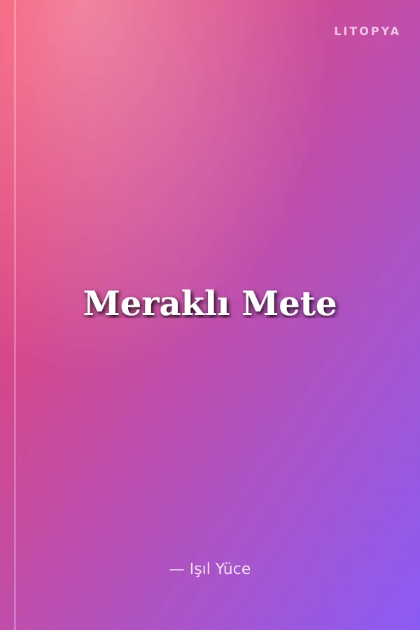 Meraklı Mete