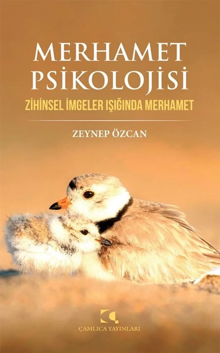 Merhamet Psikolojisi Zihinsel İmgeler Işığında Merhamet