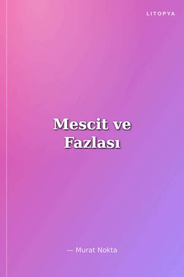 Mescit ve Fazlası