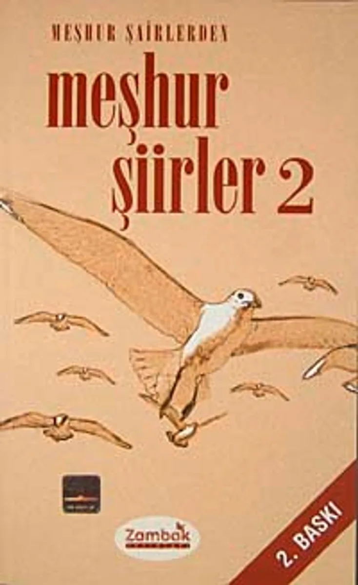 Meşhur Şairlerden Meşhur Şiirler-2