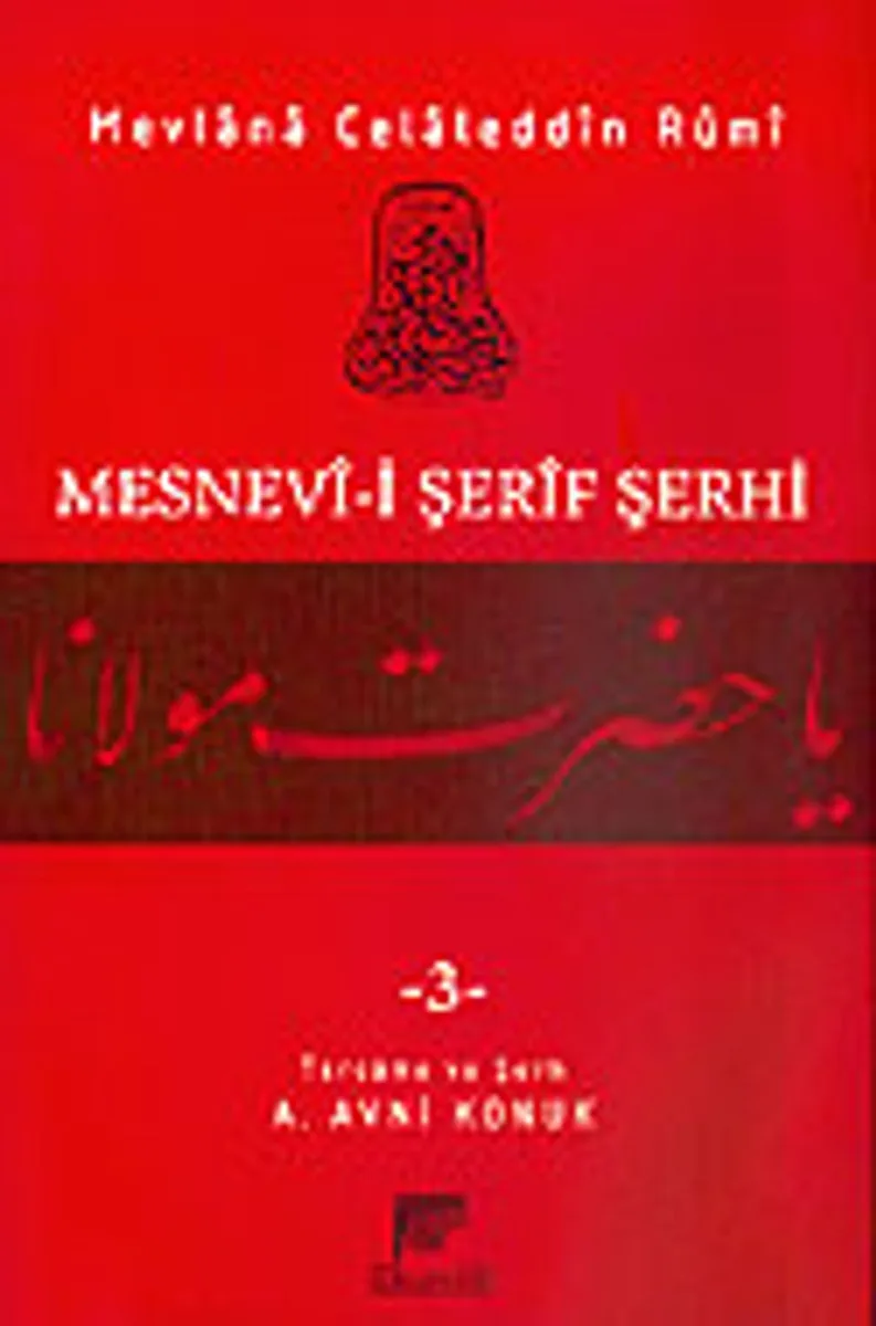 Mesnevi-i Şerif Şerhi 3