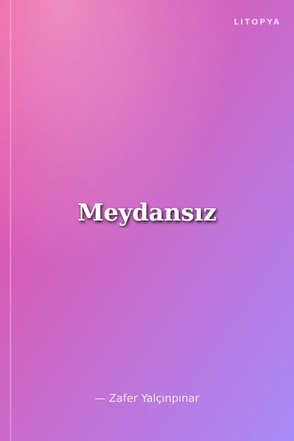 Meydansız