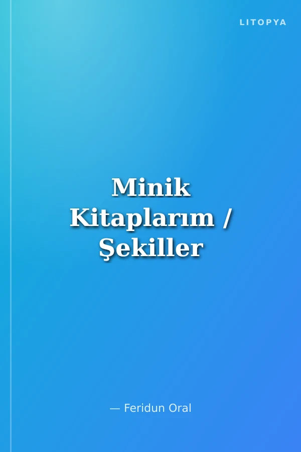 Minik Kitaplarım / Şekiller